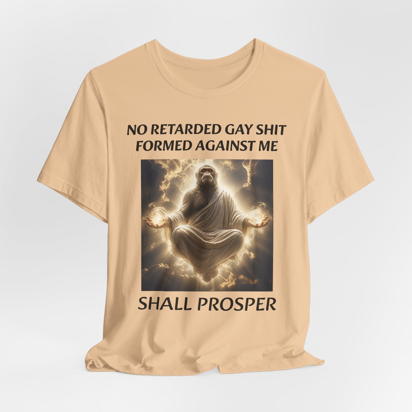 No Retarded Gay Shit Formed Against Me Shall Prosper T-Shirt