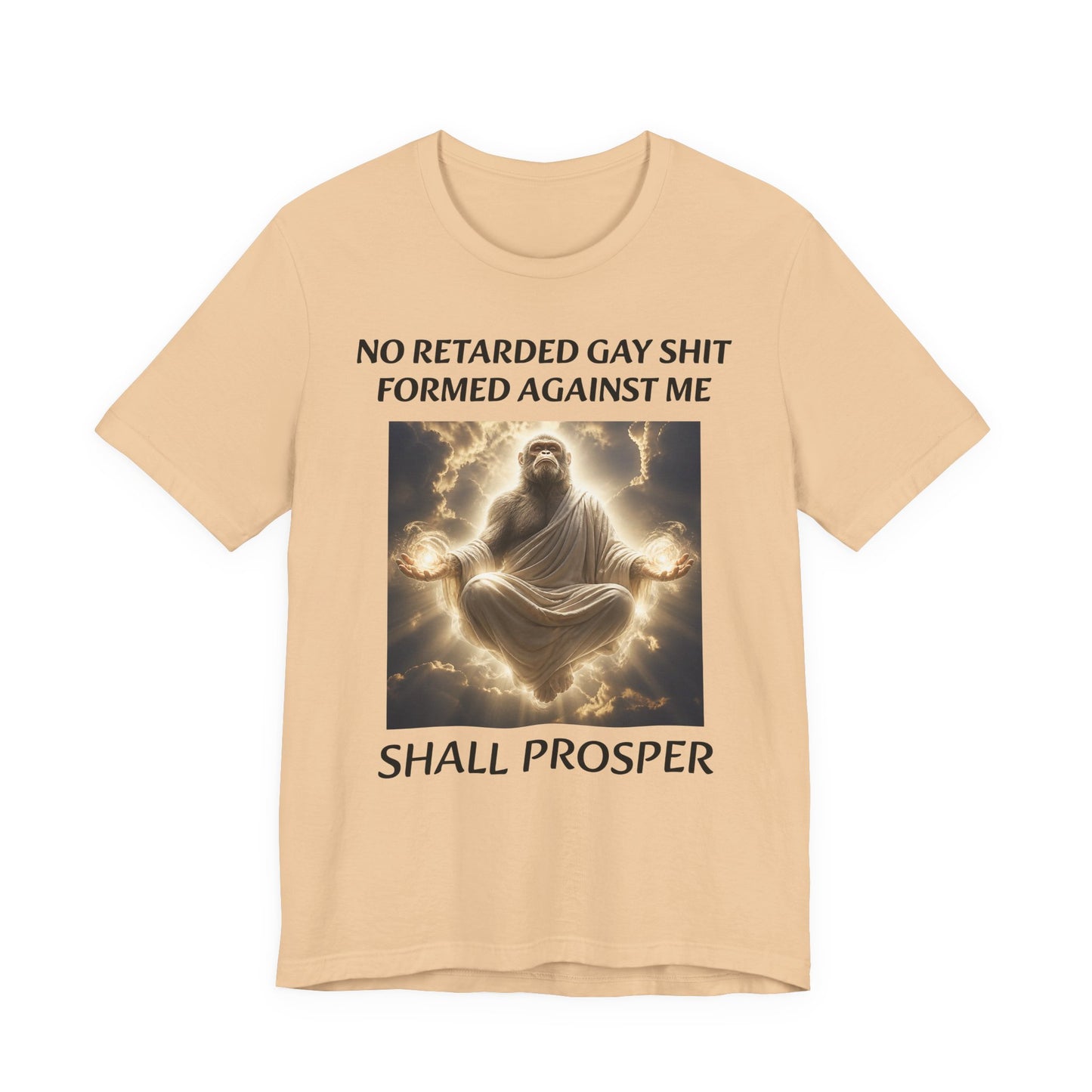No Retarded Gay Shit Formed Against Me Shall Prosper T-Shirt