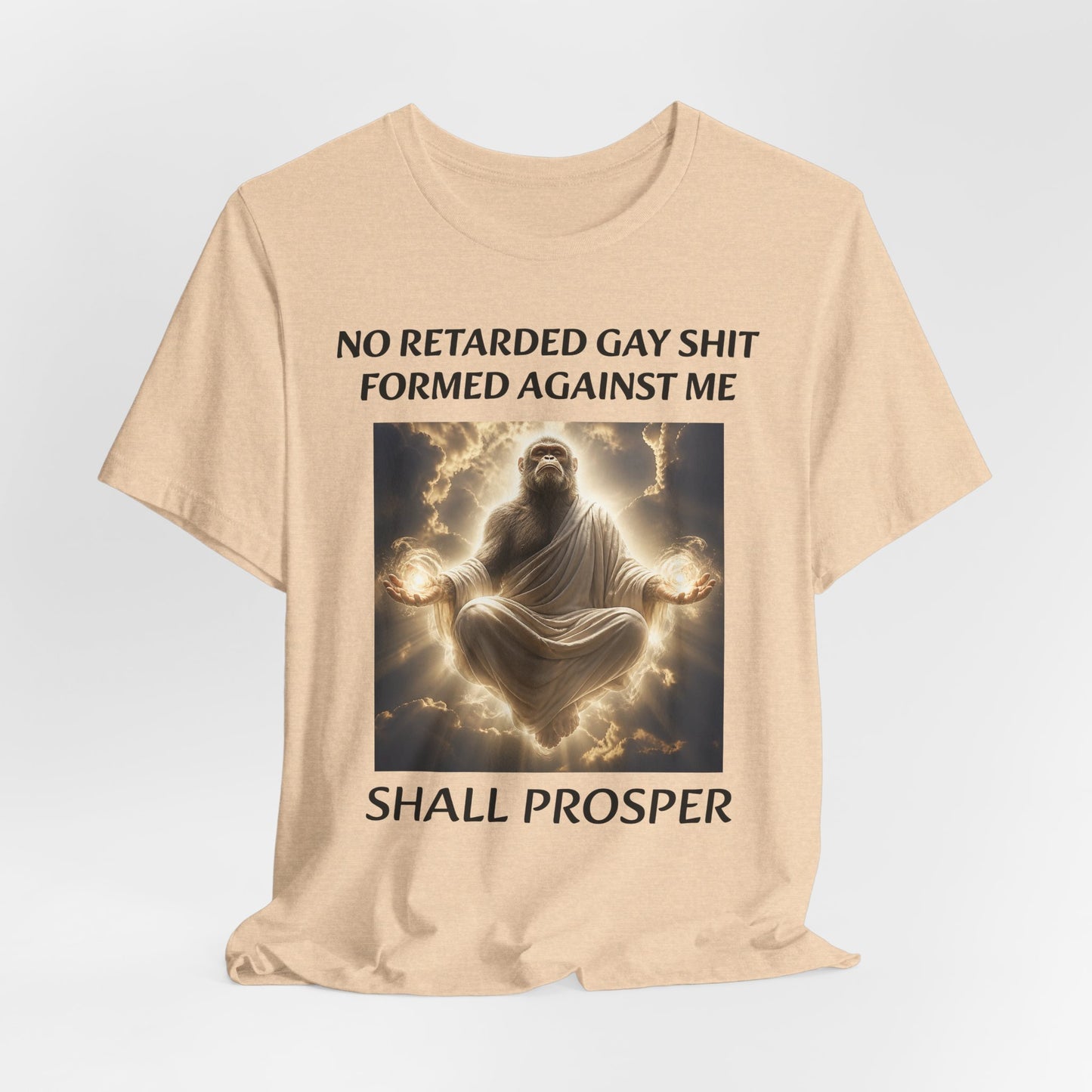 No Retarded Gay Shit Formed Against Me Shall Prosper T-Shirt