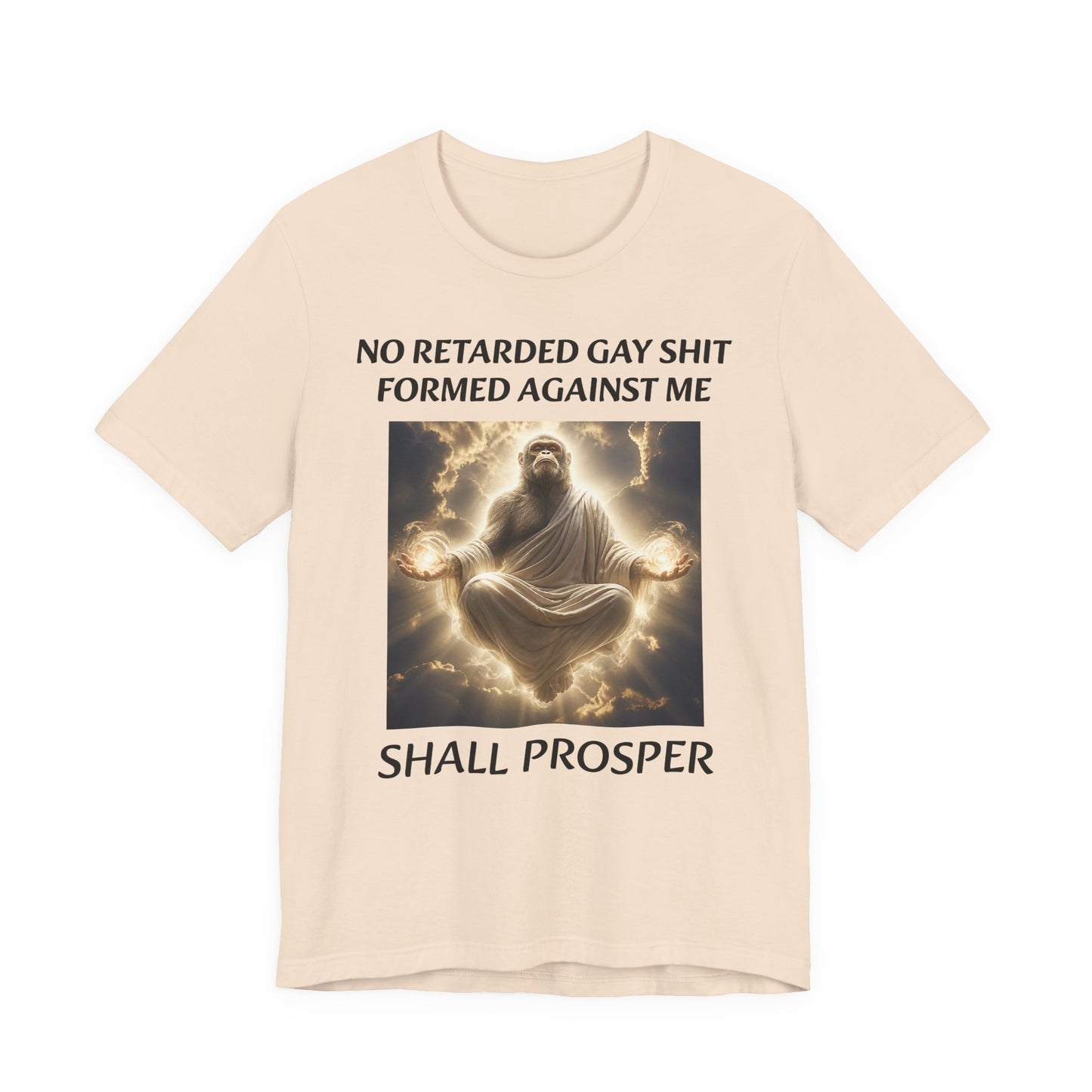 No Retarded Gay Shit Formed Against Me Shall Prosper T-Shirt