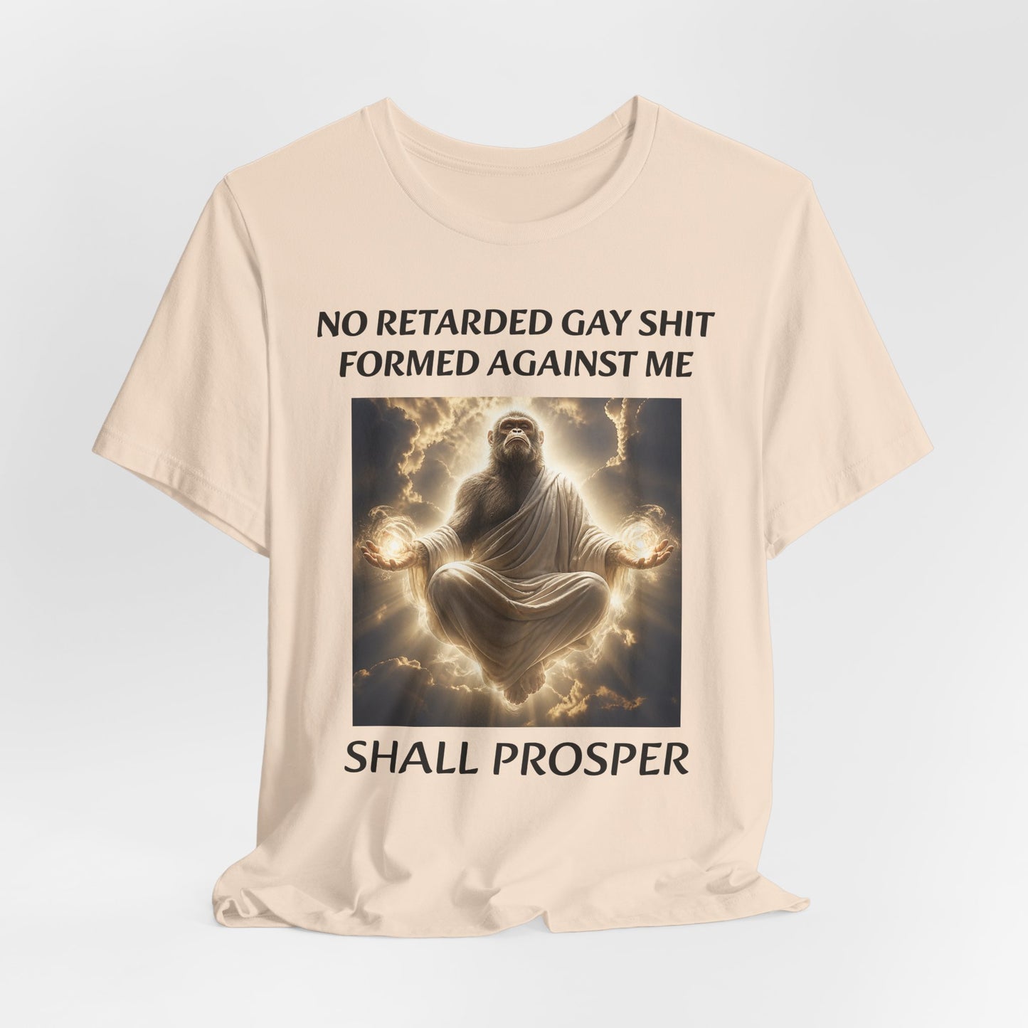 No Retarded Gay Shit Formed Against Me Shall Prosper T-Shirt