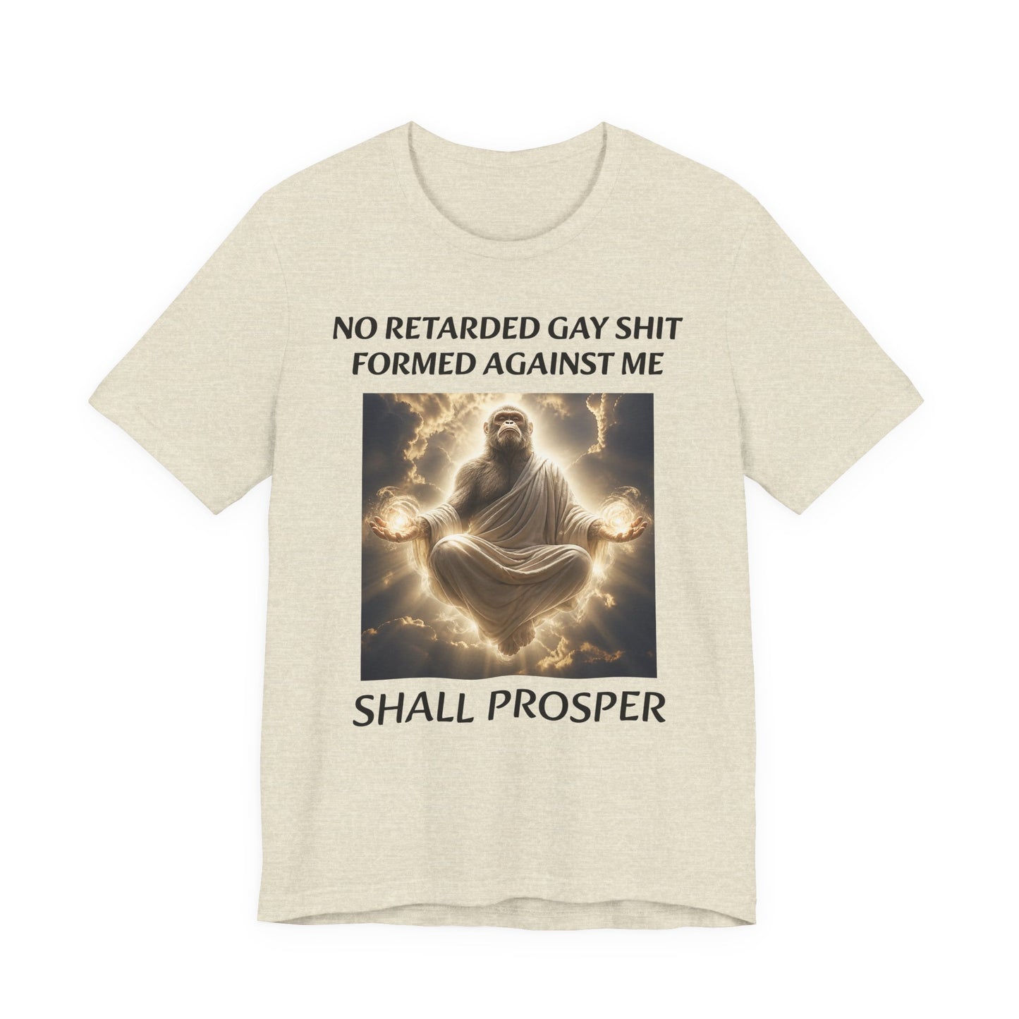 No Retarded Gay Shit Formed Against Me Shall Prosper T-Shirt
