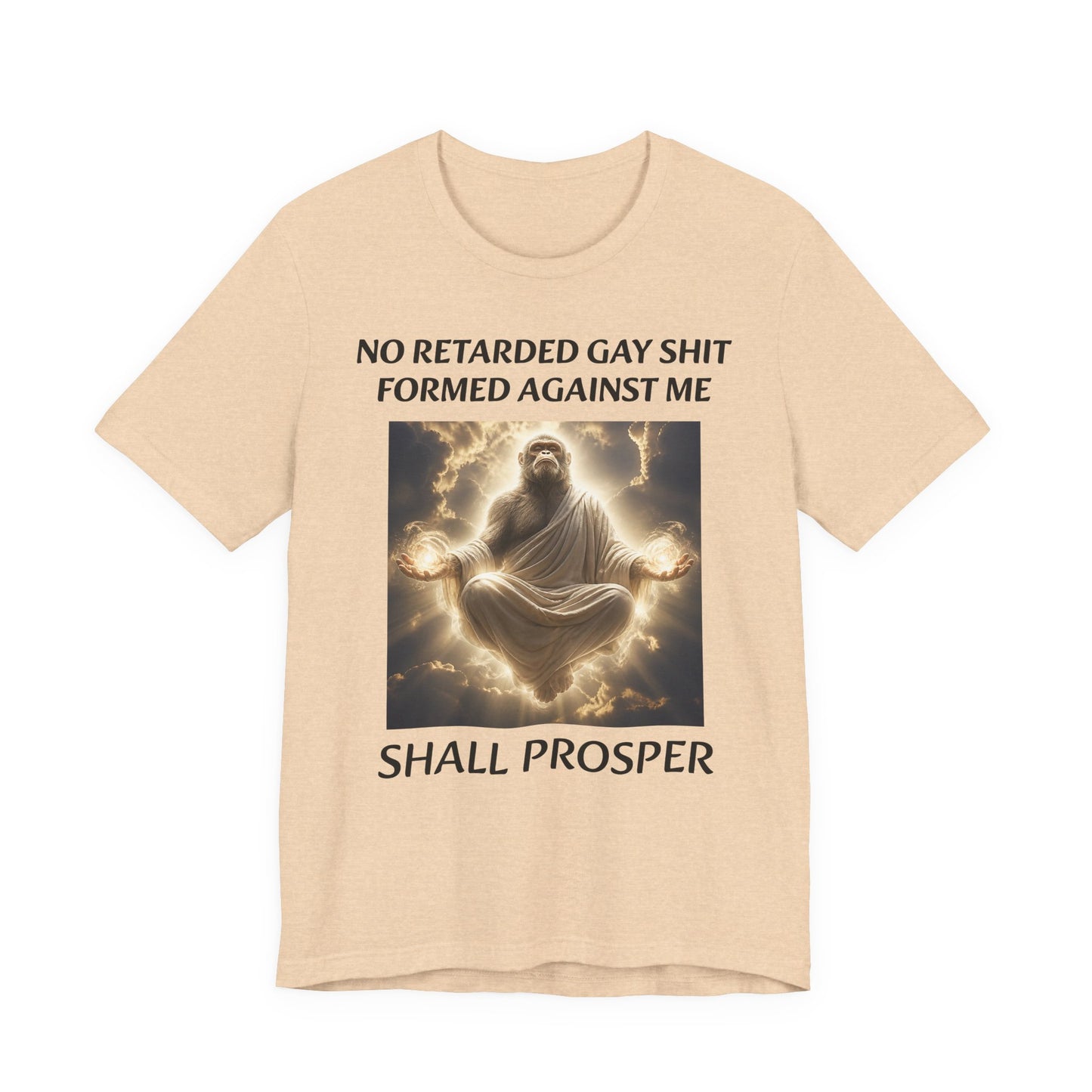 No Retarded Gay Shit Formed Against Me Shall Prosper T-Shirt